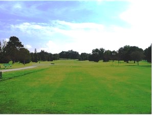 Image of Hole Number 14